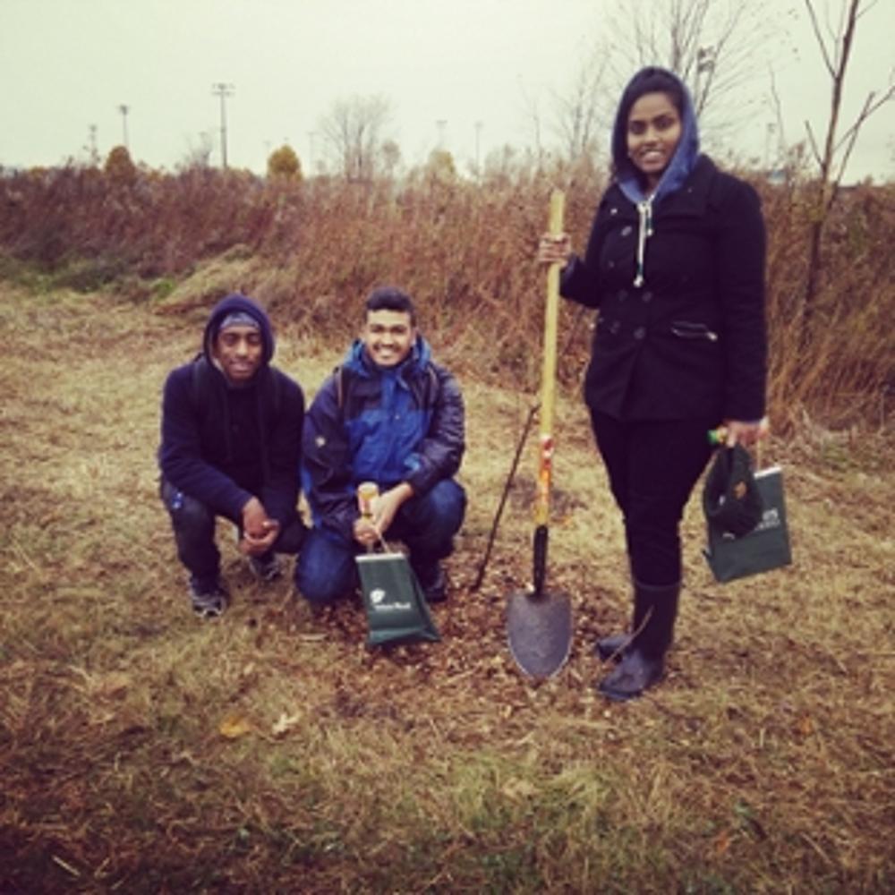 People planting trees at camp x